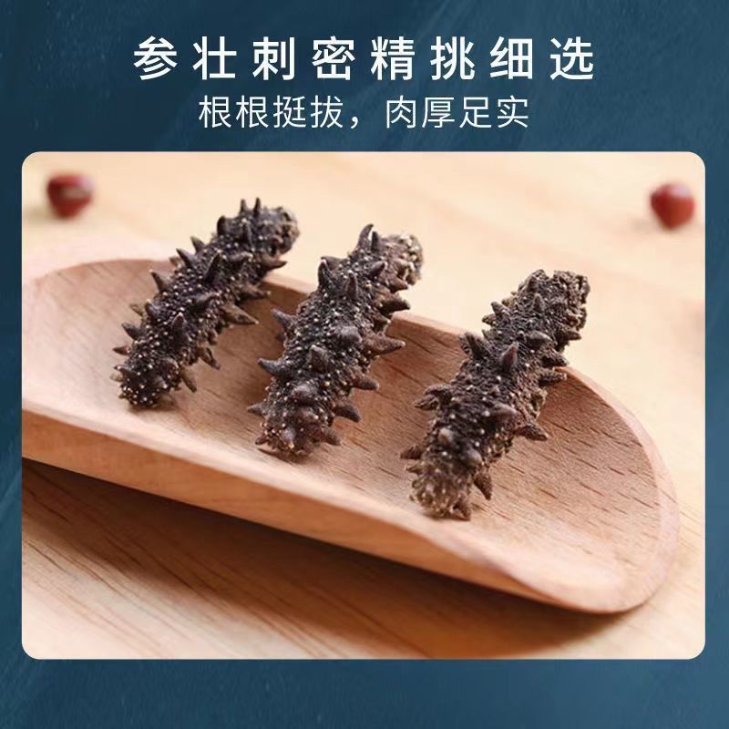 淡干小海参干货大连刺参非鲜活海刺参辽参