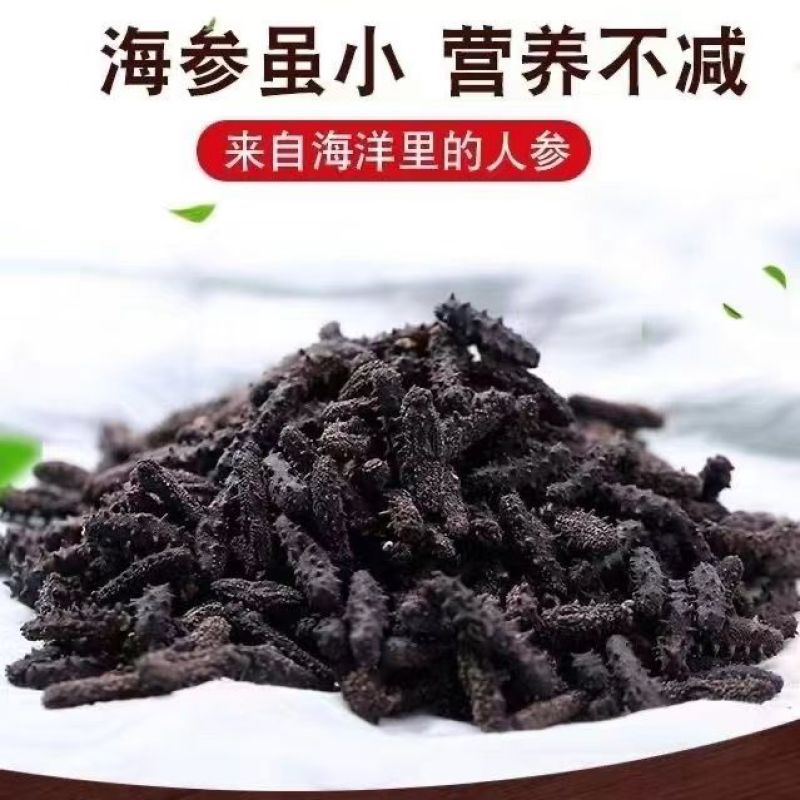 淡干小海参干货大连刺参非鲜活海刺参辽参