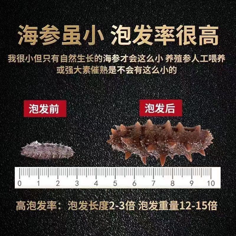 淡干小海参干货大连刺参非鲜活海刺参辽参