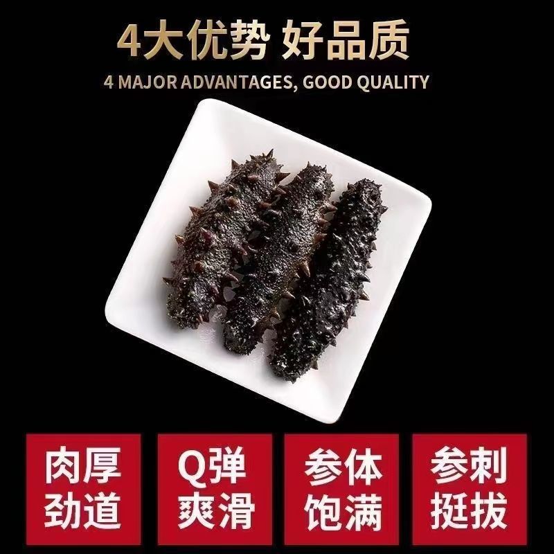 淡干小海参干货大连刺参非鲜活海刺参辽参