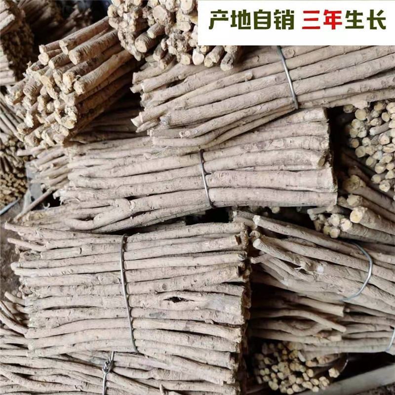 甘肃岷县黄芪片主根条切制，优质北芪切片无硫原装货产地直供
