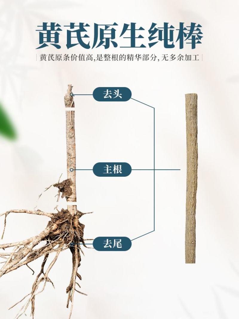 甘肃岷县黄芪片主根条切制，优质北芪切片无硫原装货产地直供