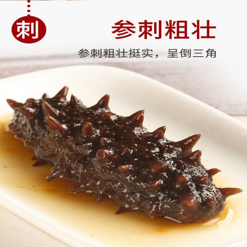 即食海参大连刺参辽宁底播鲜食海参速冻独立真空包装礼