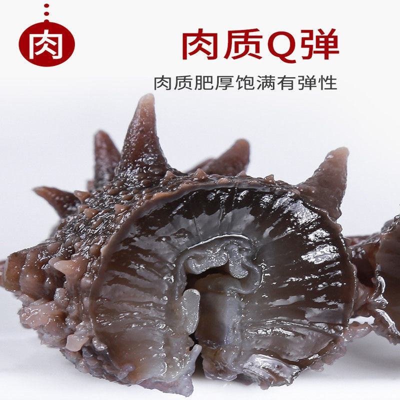 即食海参大连刺参辽宁底播鲜食海参速冻独立真空包装礼