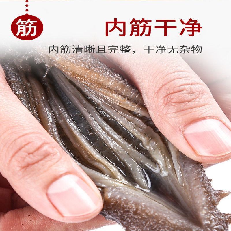 即食海参大连刺参辽宁底播鲜食海参速冻独立真空包装礼