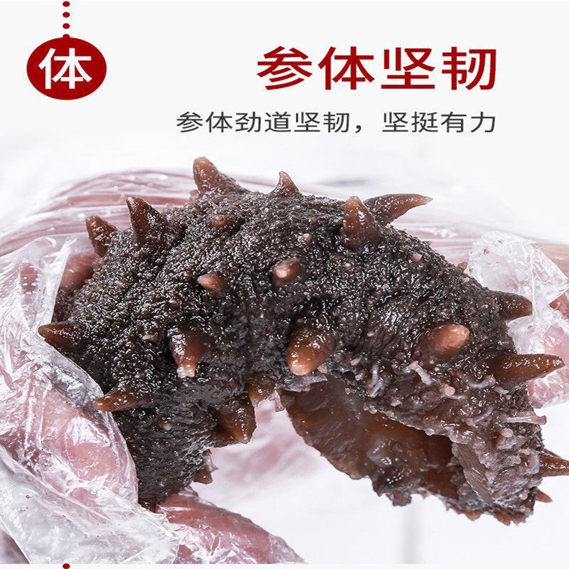 即食海参大连刺参辽宁底播鲜食海参速冻独立真空包装礼