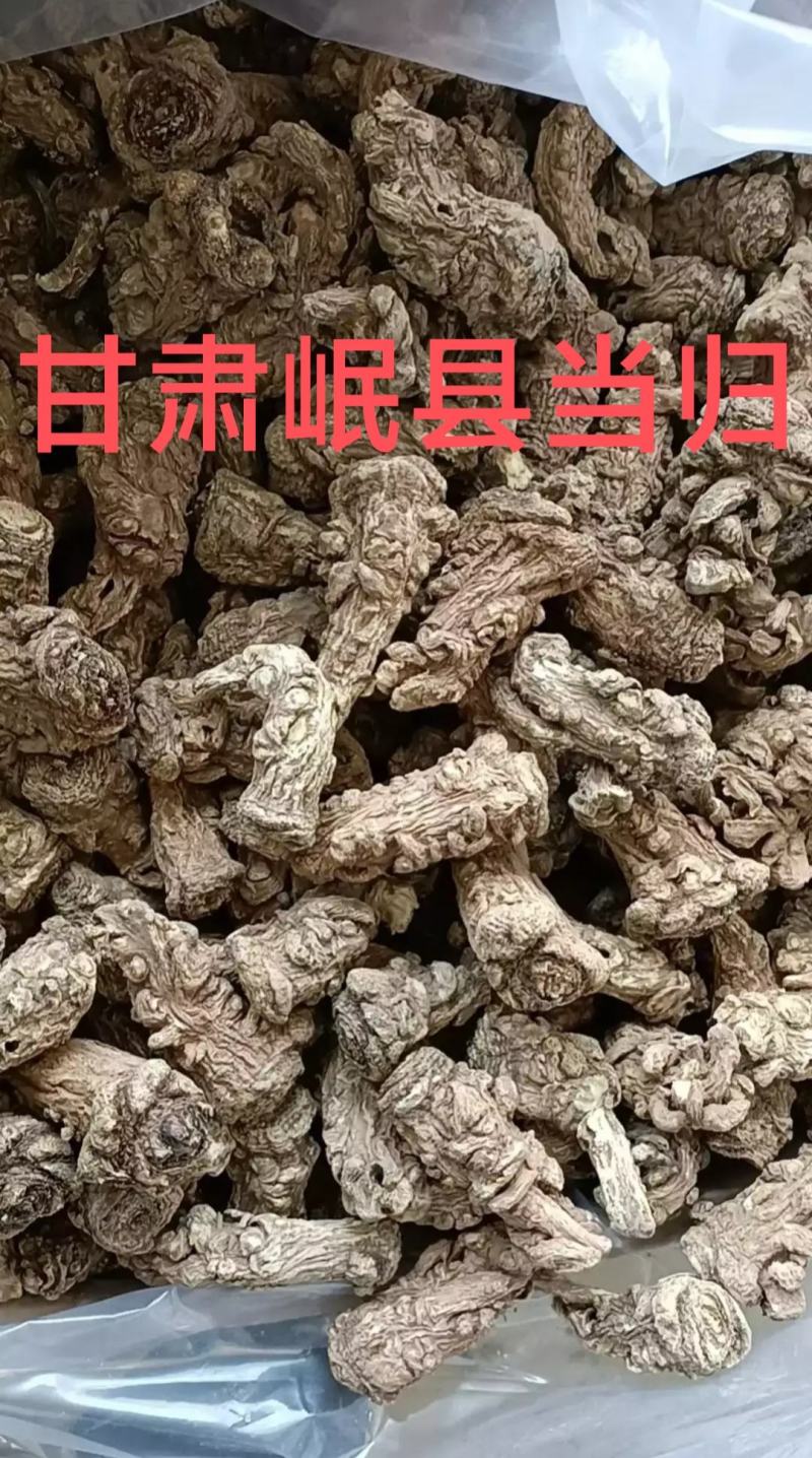 甘肃岷县当归头原色原味，高含量地道货源，原产地精选高品质