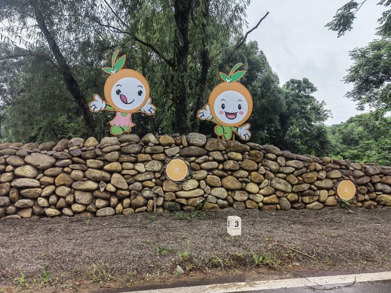 赣南脐橙