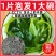 压缩烘干海带丝圆饼干货海带条淡干海带苗海带头海带片裙带菜