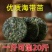压缩烘干海带丝圆饼干货海带条淡干海带苗海带头海带片裙带菜