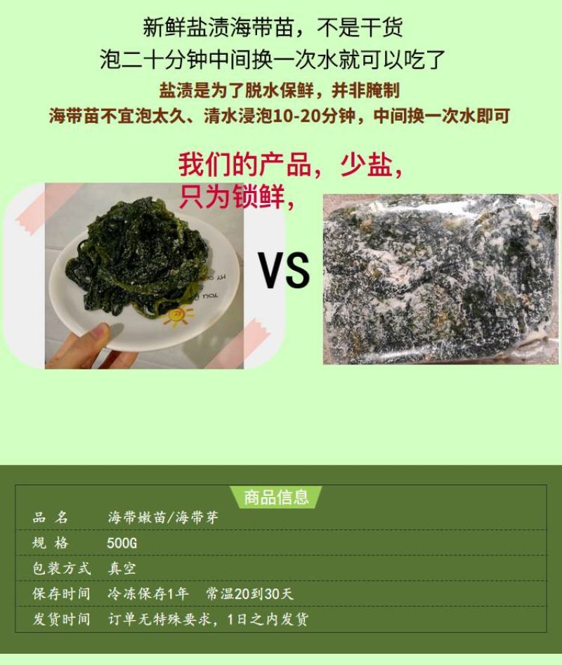 脆嫩海带苗新苗福建省霞浦县产地直发盐渍海带苗