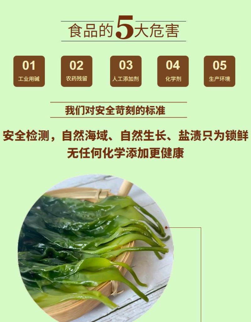 脆嫩海带苗新苗福建省霞浦县产地直发盐渍海带苗