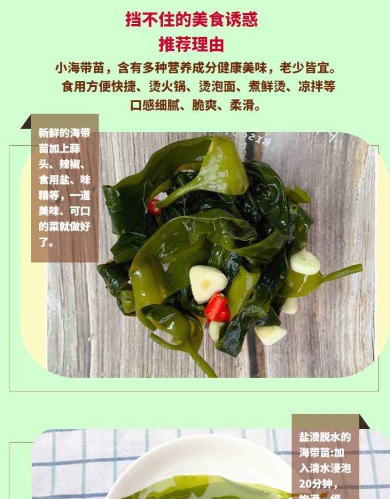 脆嫩海带苗新苗福建省霞浦县产地直发盐渍海带苗