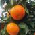 精品蜜橘柑桔柑橘蜜桔24小时在线欢迎咨询订购。