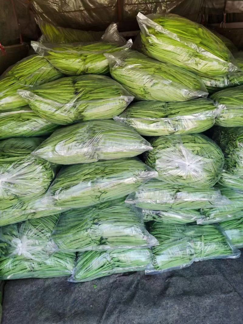 精品芸豆，扁青