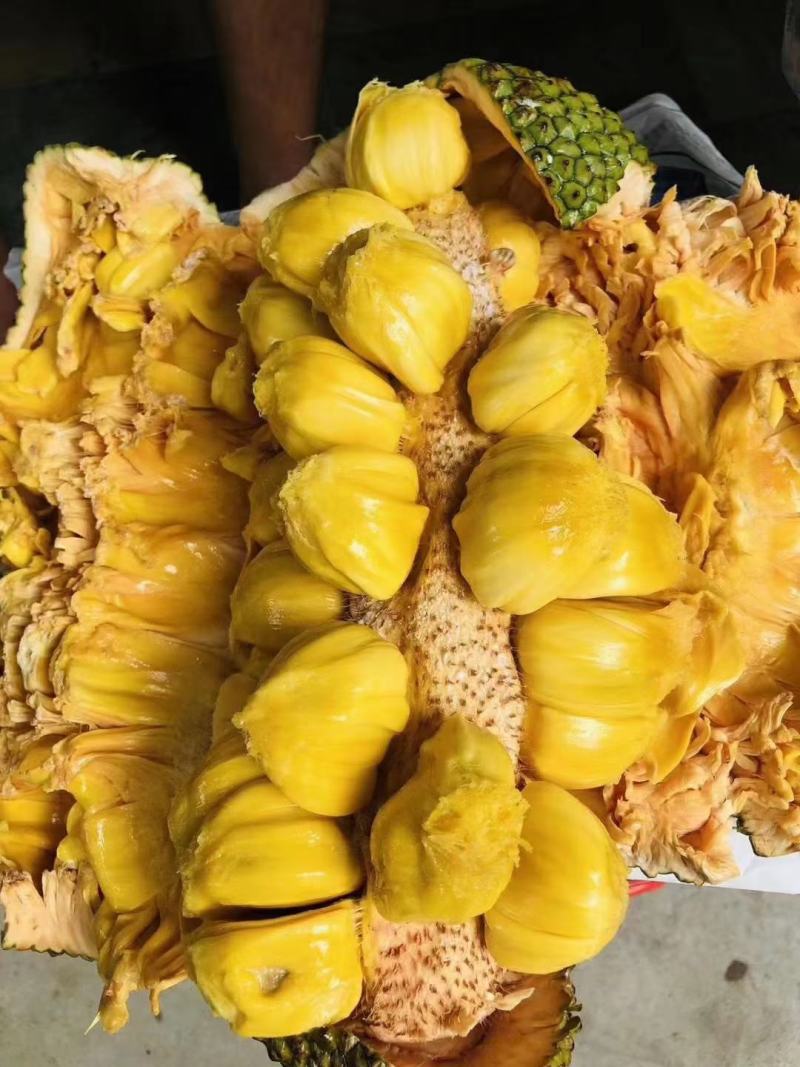 海南榴莲蜜尖蜜拉软糯香甜，精品A货整车，一件代发果地直发