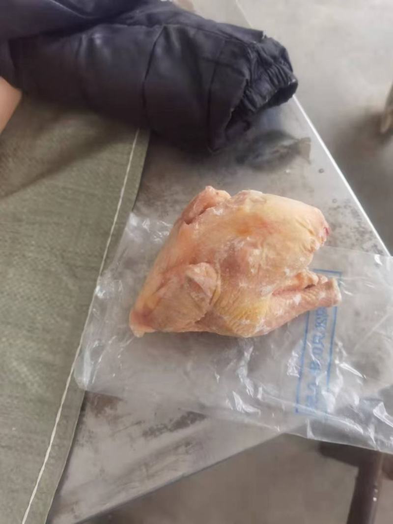 35只西装鸡