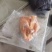 35只西装鸡
