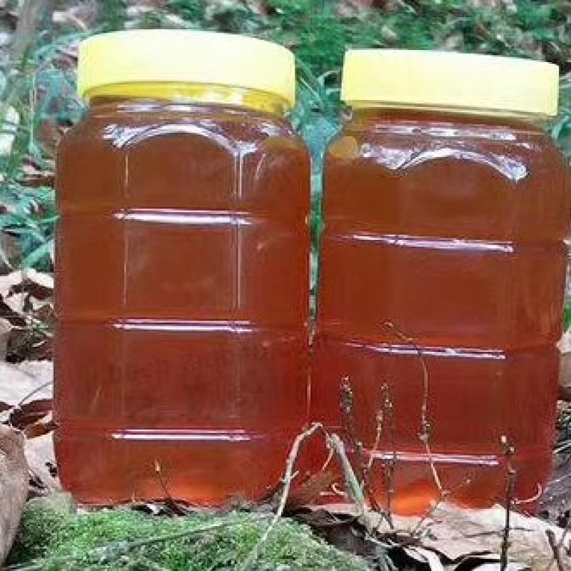 赞皇县枣花蜜百花蜜槐花蜜太行山深处优质蜜源