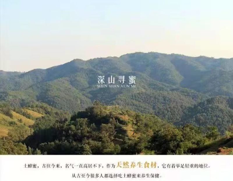 赞皇县枣花蜜百花蜜槐花蜜太行山深处优质蜜源