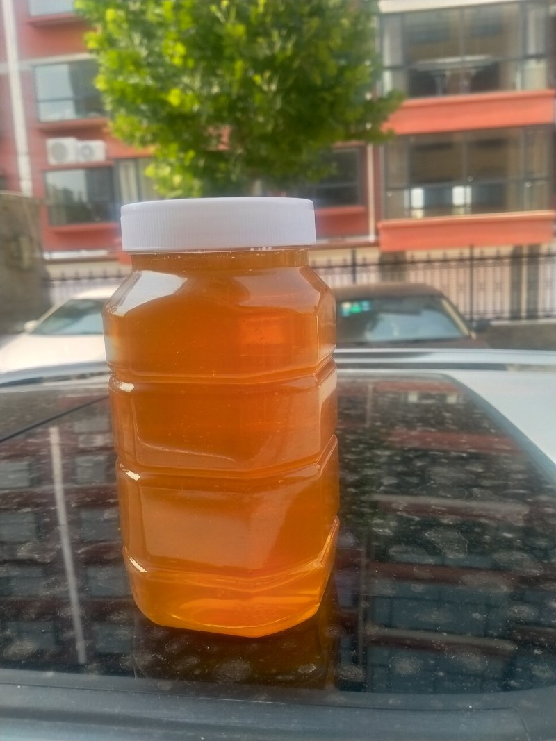 赞皇县枣花蜜百花蜜槐花蜜太行山深处优质蜜源