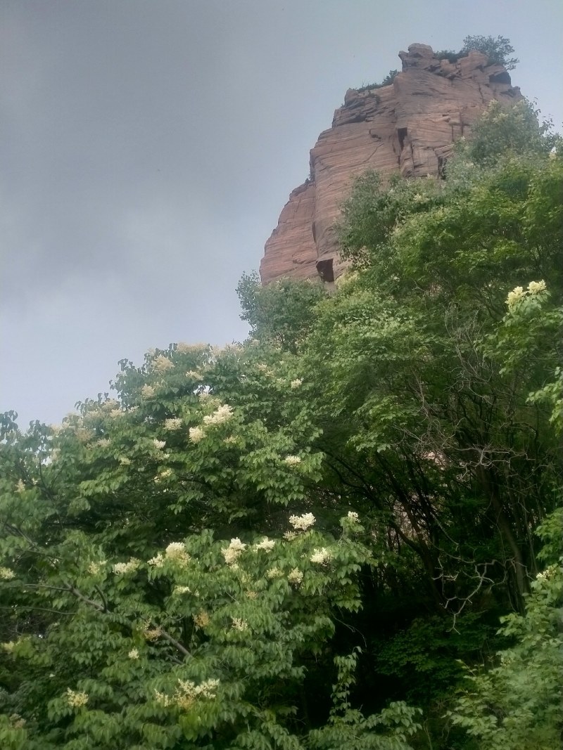 赞皇县枣花蜜百花蜜槐花蜜太行山深处优质蜜源