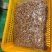 盐焗腰果悦南小宝A180巨大颗粒，颗粒饱满，质量上乘