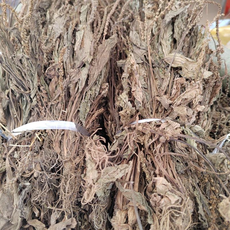 25年车前草新货水洗扎把齐手色绿车前草产地直销量大从优