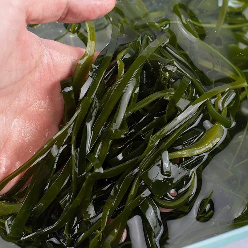 免洗海带丝烘干海带丝特产天然海带丝干货凉拌海带丝无盐