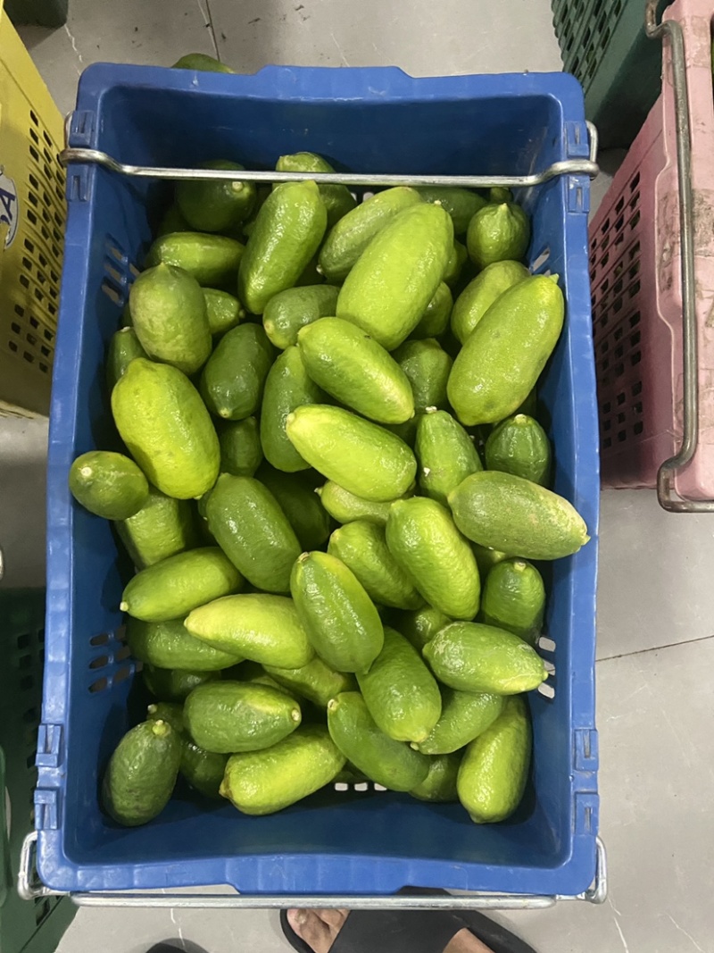海南香水柠檬一级果子弹头独立包装代发批发水果