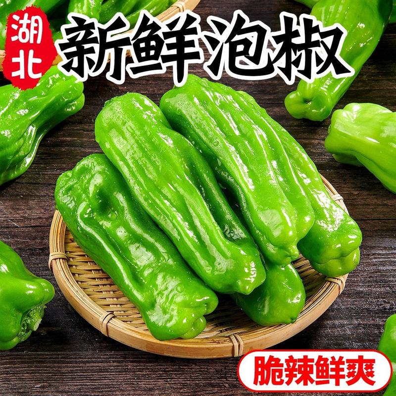 精品薄皮椒鲜辣椒芜湖椒反季节蔬菜大量供应