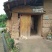 凯特芒四川攀枝花大脸芒**海拔最晚熟8两以上