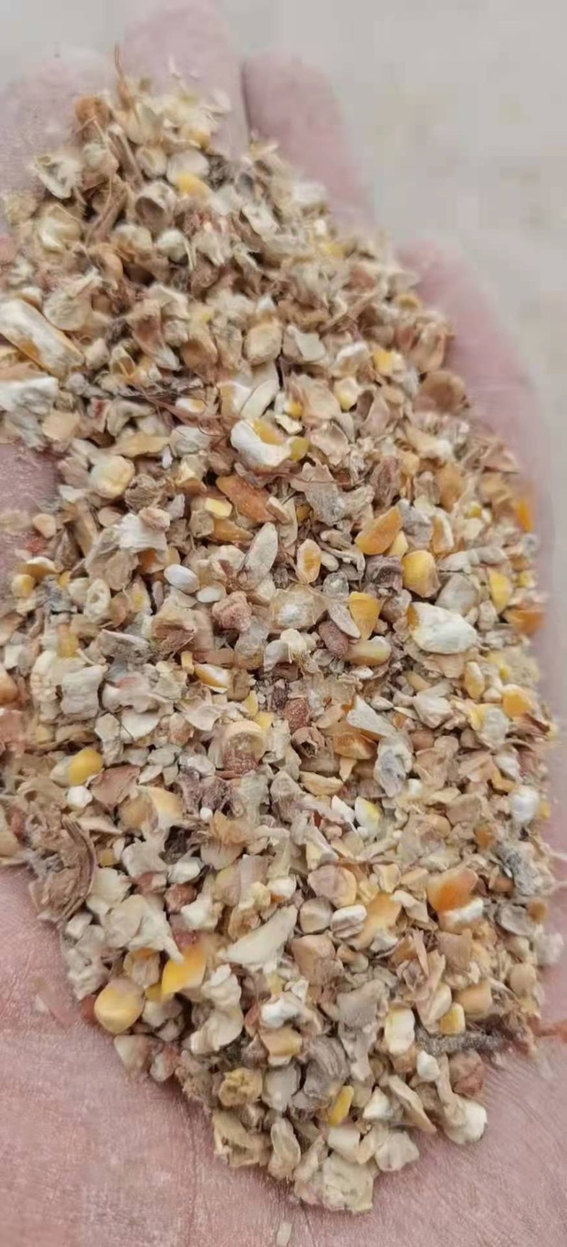 烘干粮碎玉米，养殖户（喂鸡鸭鹅）用降低成本