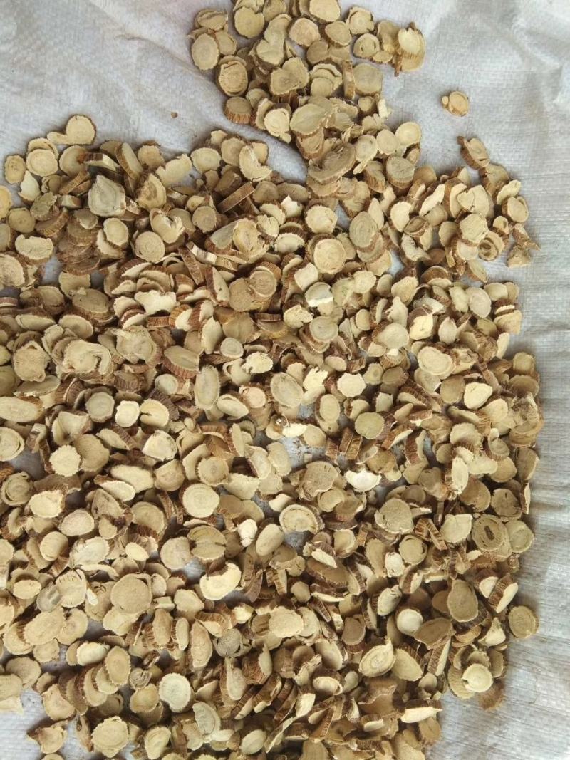 苦参穿山龙漏芦