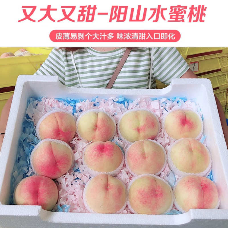 阳山水蜜桃白凤桃大量上市