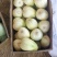 东昊运绿宝甜瓜