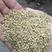 次谷子，小米糠适用于鸡鸭鹅猪牛羊养殖用，饲料添加