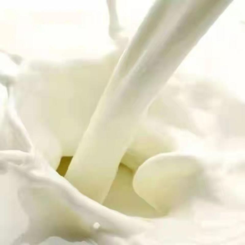 全脂纯羊奶粉无糖高钙草原特产直发成人学生袋装奶粉