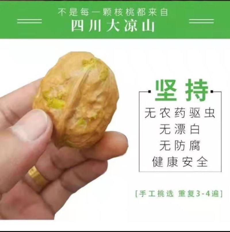 大优1号核桃一手货源产地直发全国供货批发商采购商专供