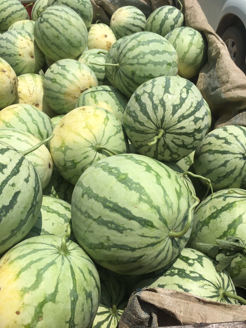 花无籽