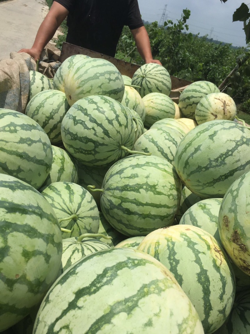 花无籽