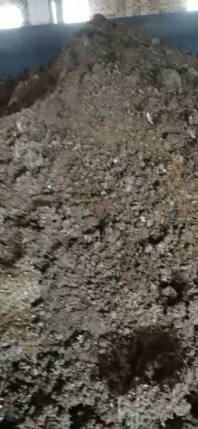 优质纯鸡粪，散装