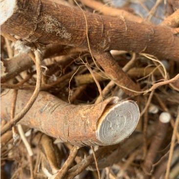 野生五指毛桃土茯苓石橄榄金刚藤牛大力