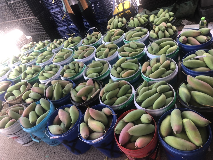 冬季水果市场一角