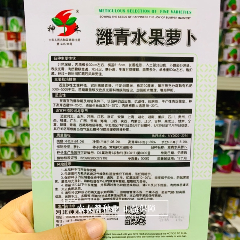 潍县青水果萝卜种子甘甜微辣糖分高水分足青萝卜种子