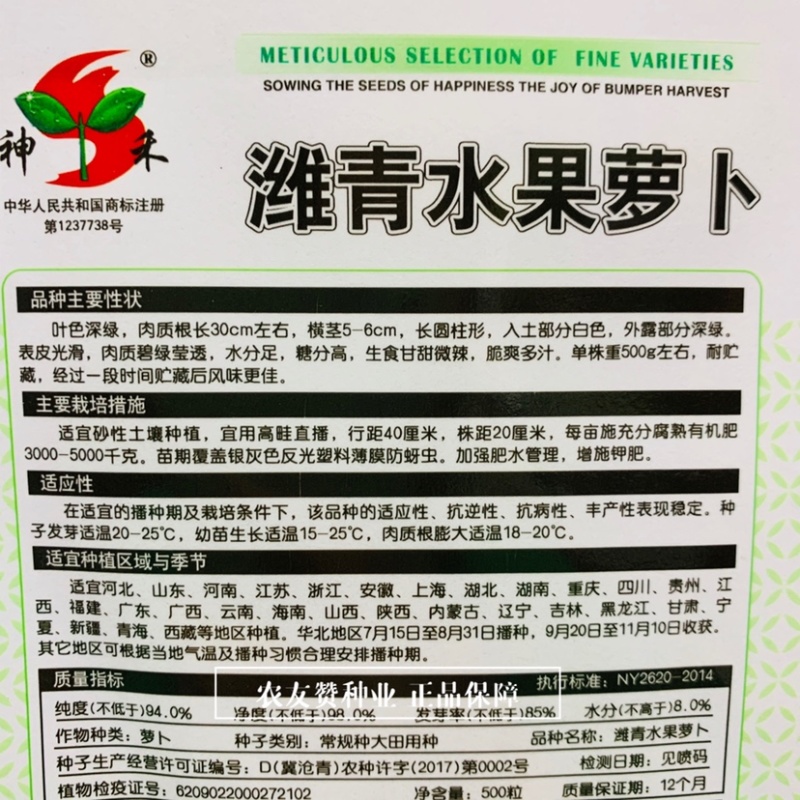 潍县青水果萝卜种子甘甜微辣糖分高水分足青萝卜种子