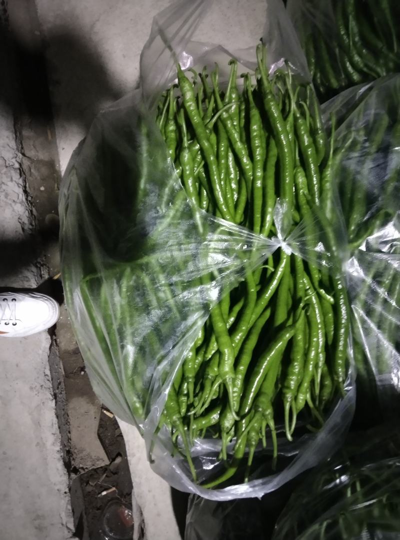 8号椒，3号椒