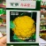 免盖球松花菜种子尚品橙100天橙黄色花椰菜种子口感甜脆