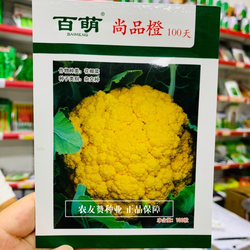 免盖球松花菜种子尚品橙100天橙黄色花椰菜种子口感甜脆