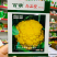 免盖球松花菜种子尚品橙100天橙黄色花椰菜种子口感甜脆